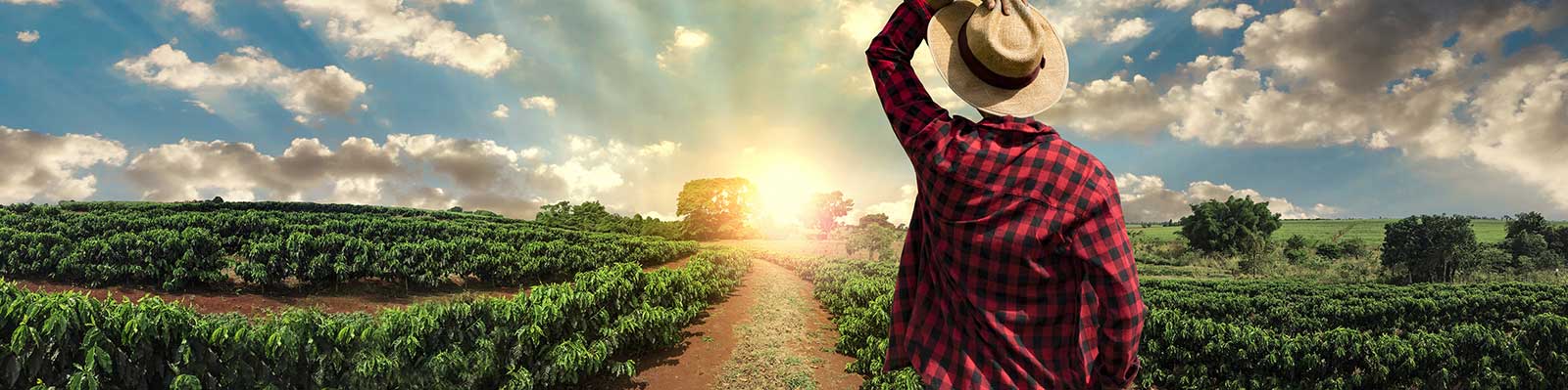 Avec la CCM, vos Rêves deviennent réalité!